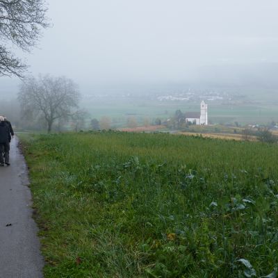 019 Abstieg nach Hallau